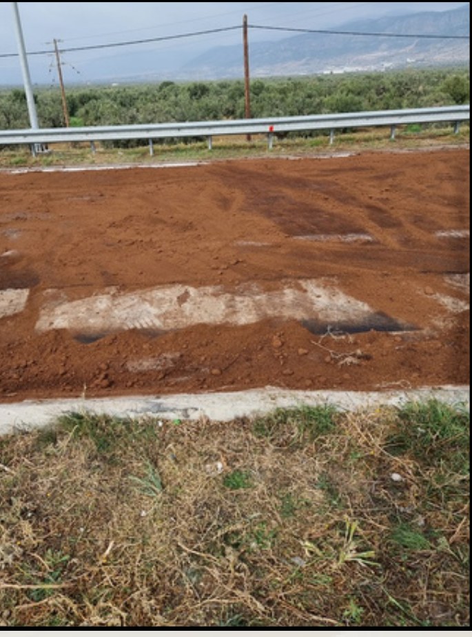 BioGuard fiber absorbing a roadside spill, applied by a field crew